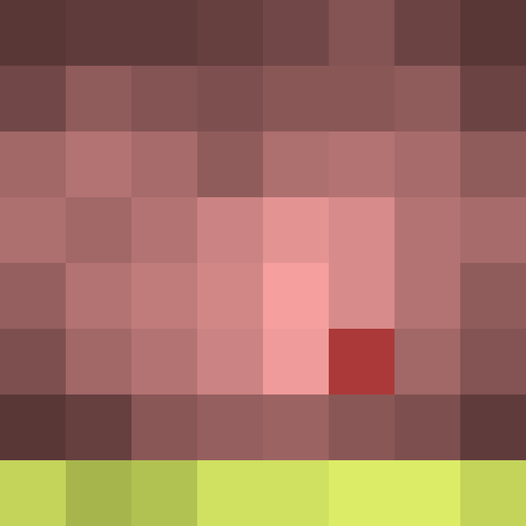 DonaldTrump42's skin