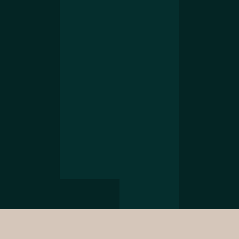 TheSilverDreams's skin