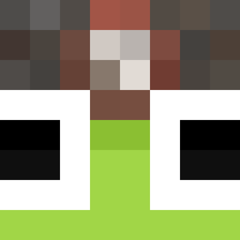wiredframe's skin