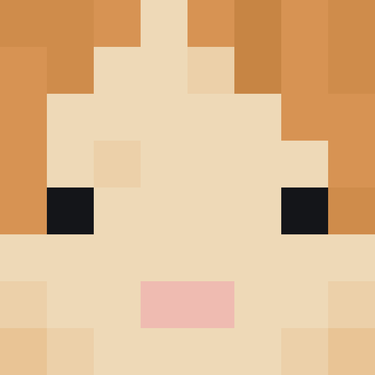 BukkitAPI's skin