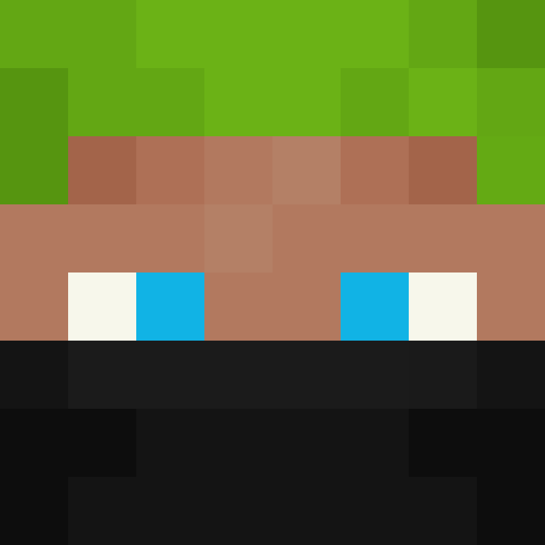 8aca680b22461340's skin