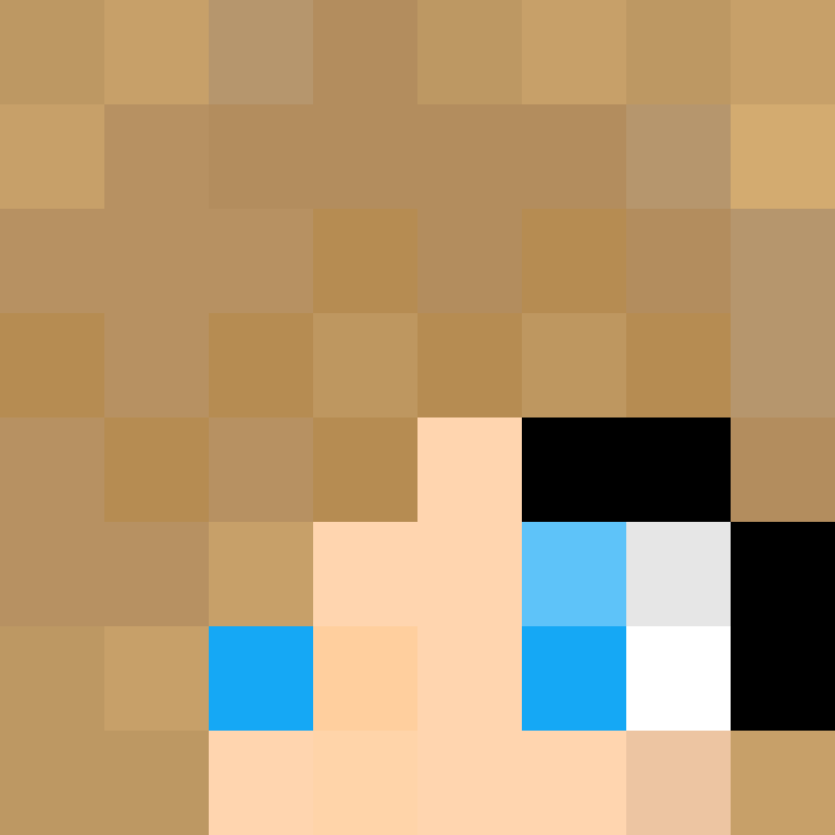 MHF_Mineskin's skin