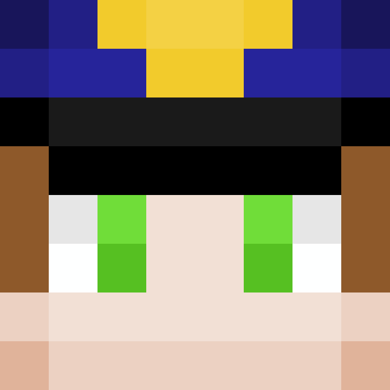 wiredframe's skin