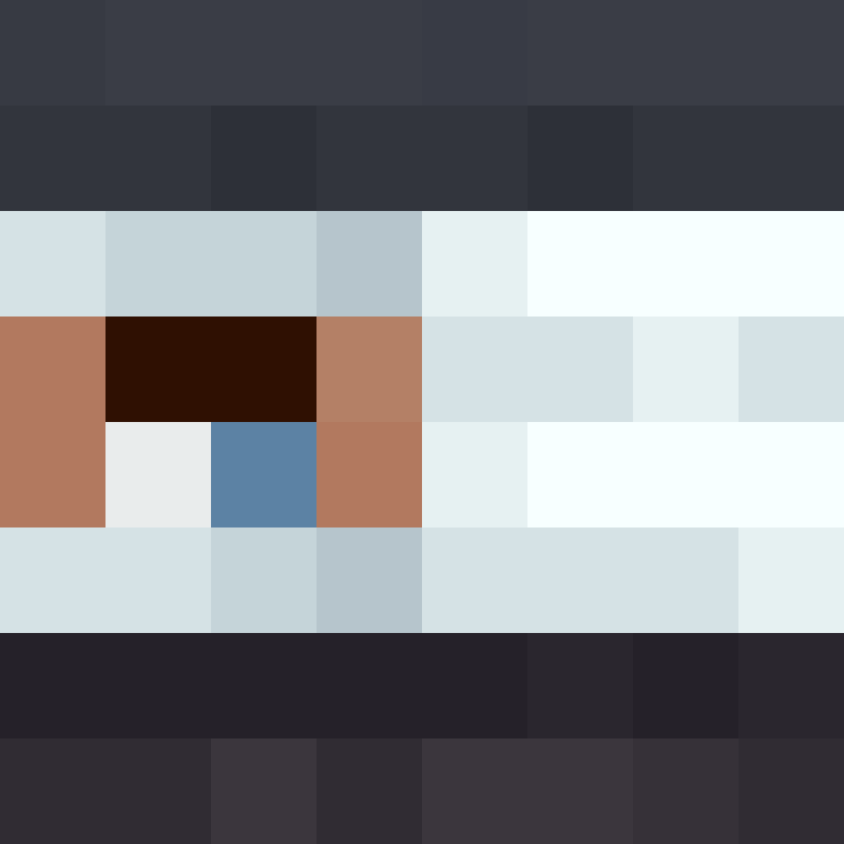 BukkitAPI's skin