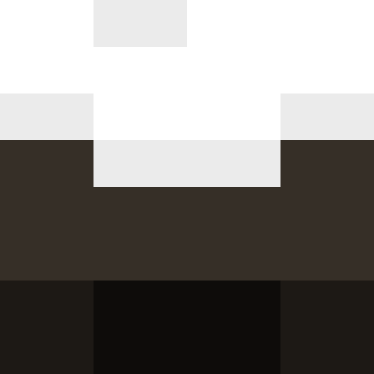 CeilingBird's skin
