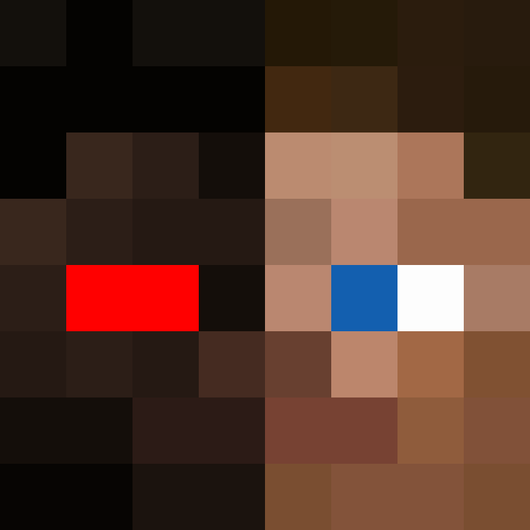BukkitAPI's skin
