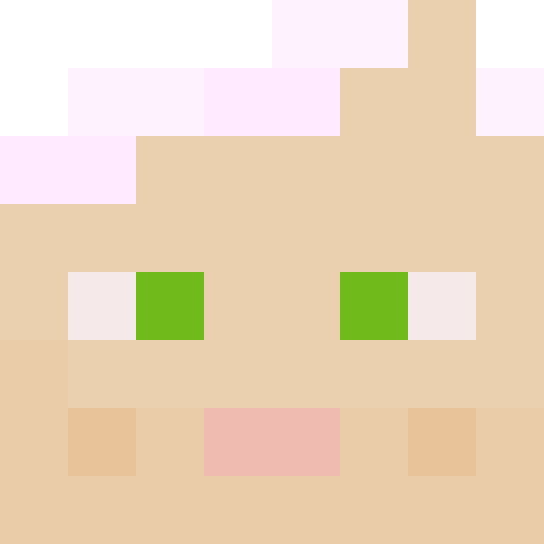 TheCuriousMiner's skin