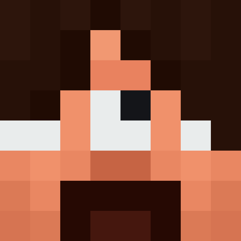 8aca680b22461340's skin