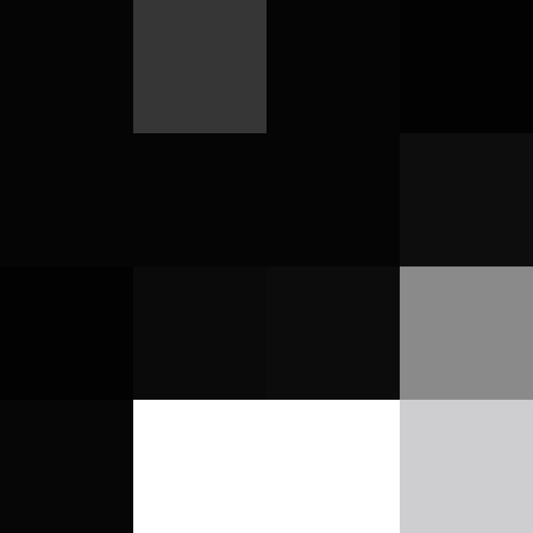 CeilingBird's skin