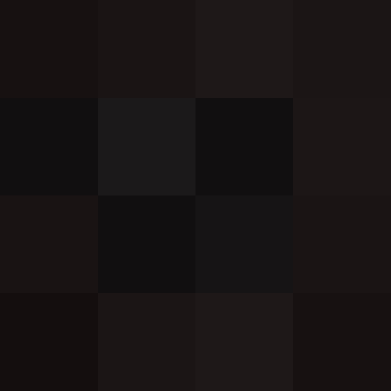 XenokratesRitva's skin