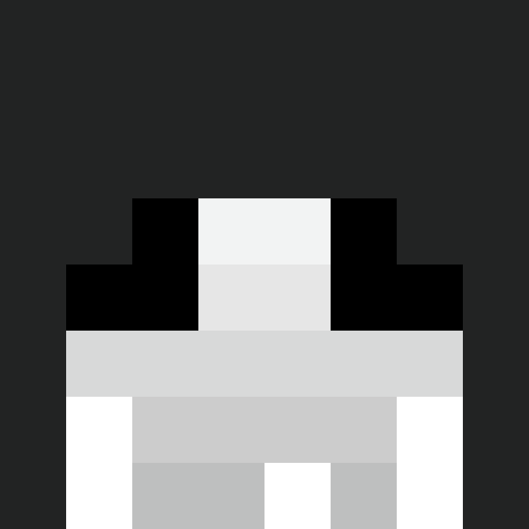 h4yl33's skin