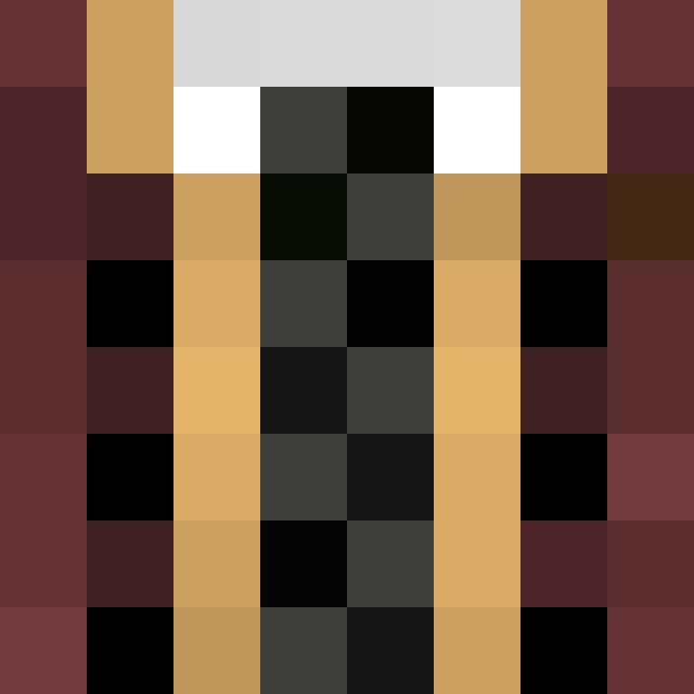 h4yl33's skin