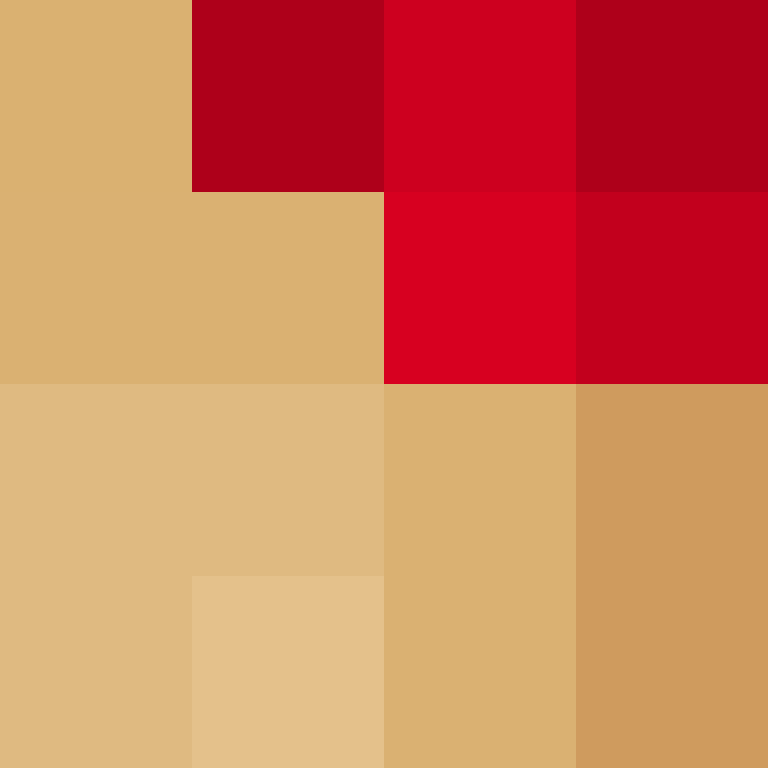 BukkitAPI's skin