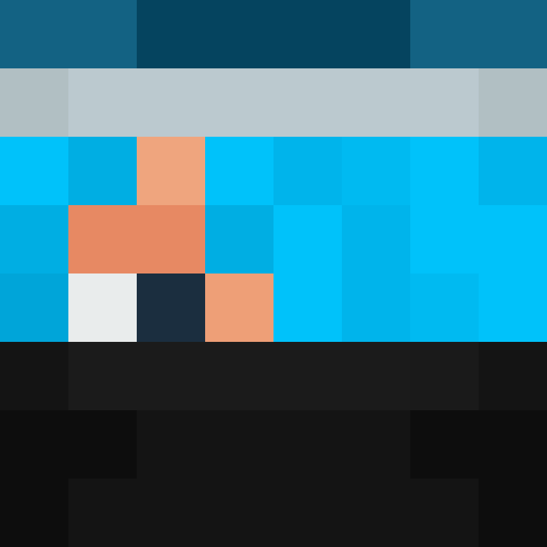 hpyef's skin