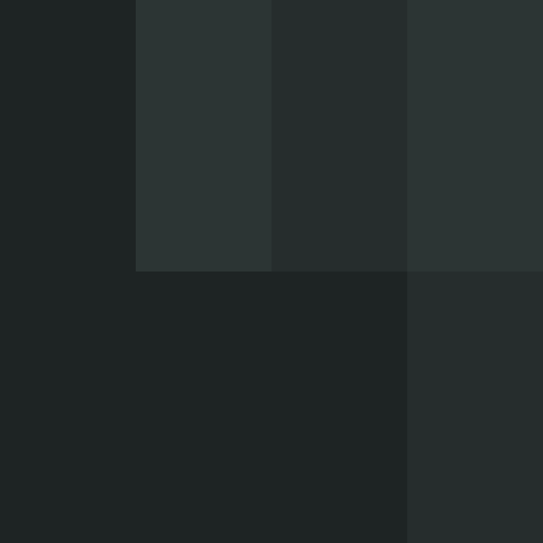 CeilingBird's skin
