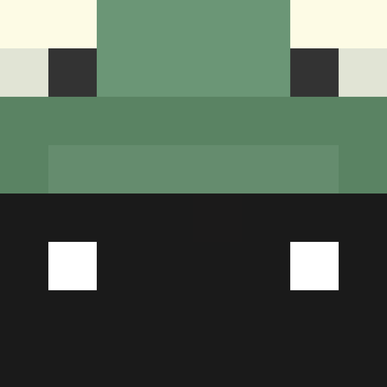 LostPlayer991's skin