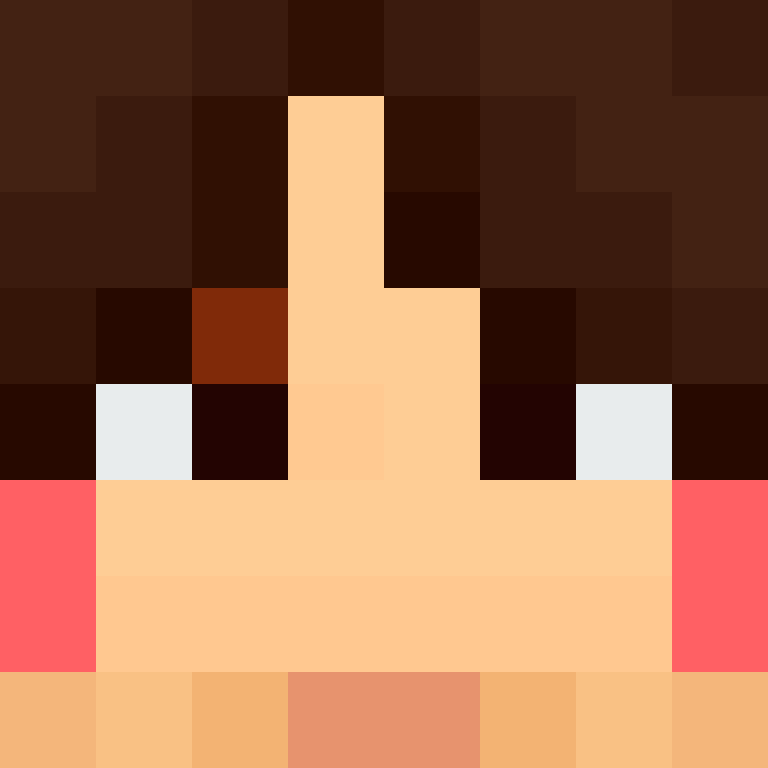 wiredframe's skin