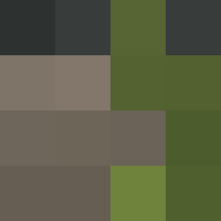 Cartizoll's skin