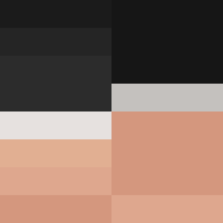 BradBot_2's skin
