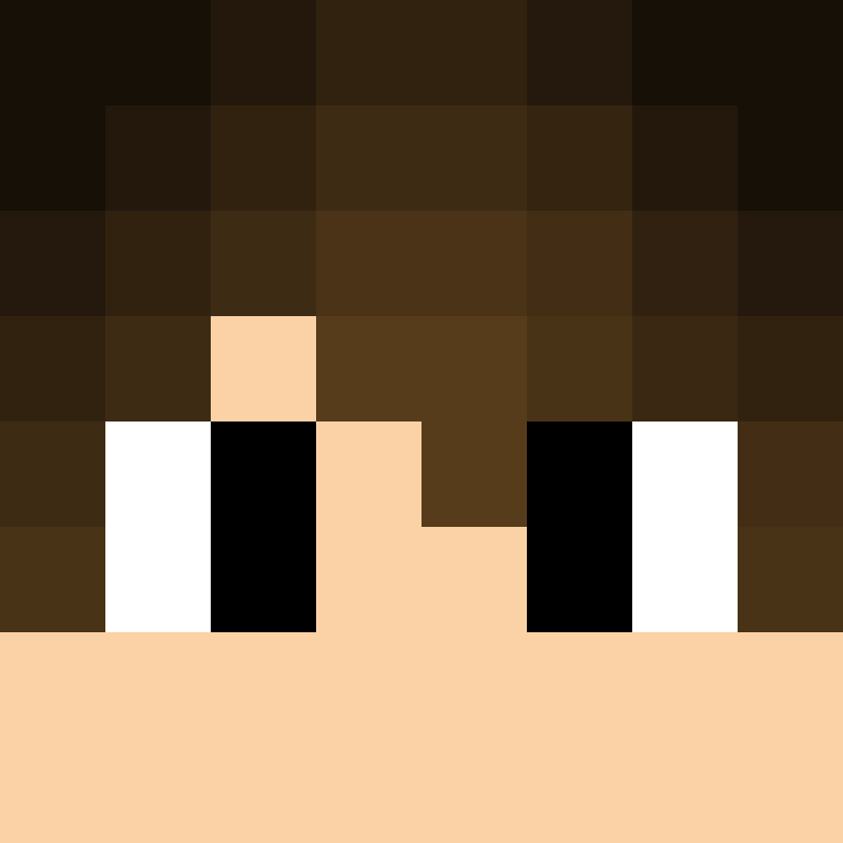 BukkitAPI's skin