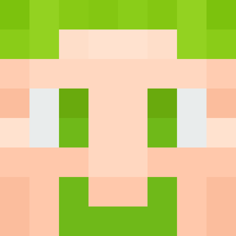 wiredframe's skin
