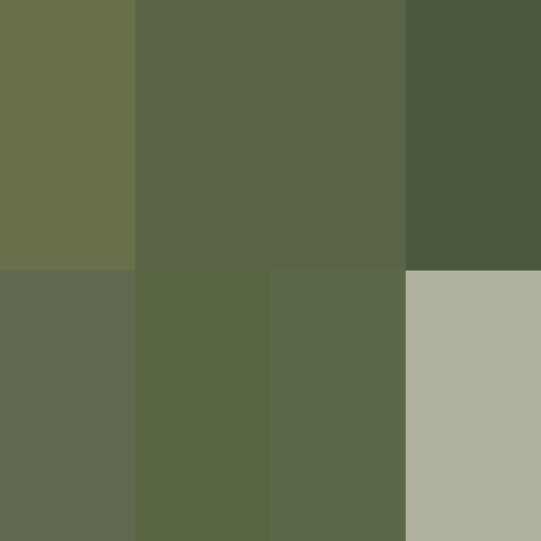 DargiV's skin