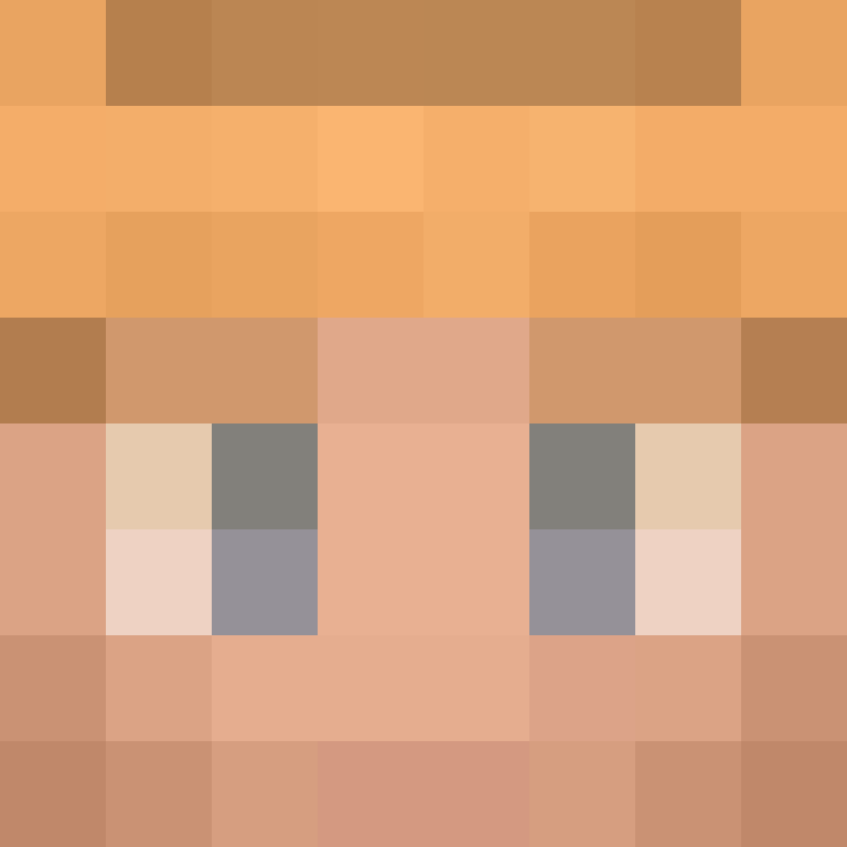 xX_No_Income_Xx's skin