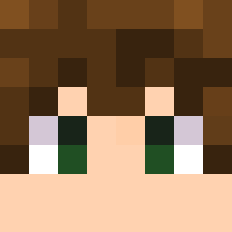 BukkitAPI's skin