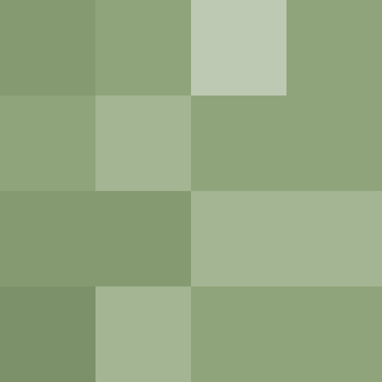 CeilingBird's skin