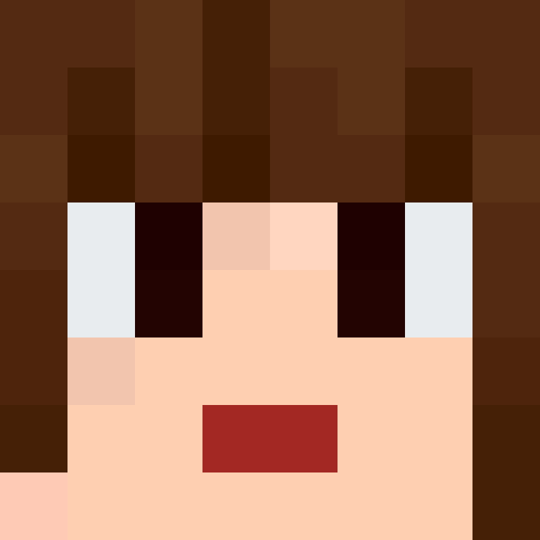 wiredframe's skin