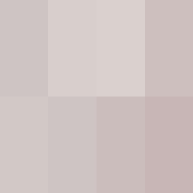 _pakman_'s skin