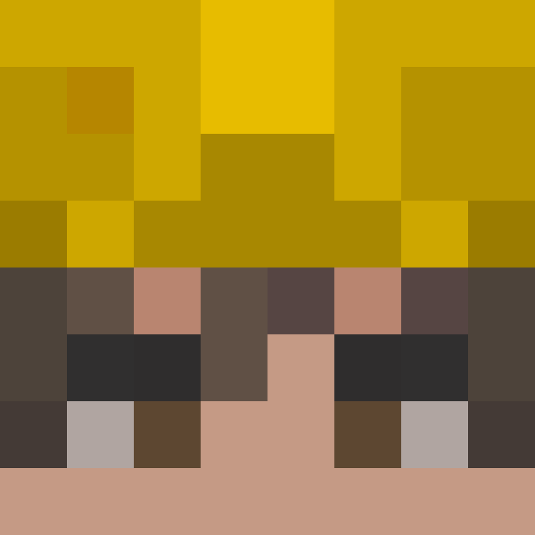 TheCuriousMiner's skin