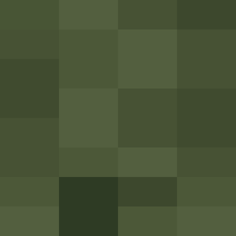 DonaldTrump42's skin