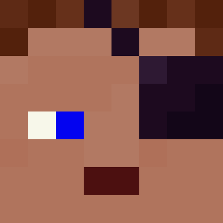 BukkitAPI's skin