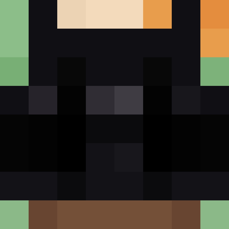 CeilingBird's skin
