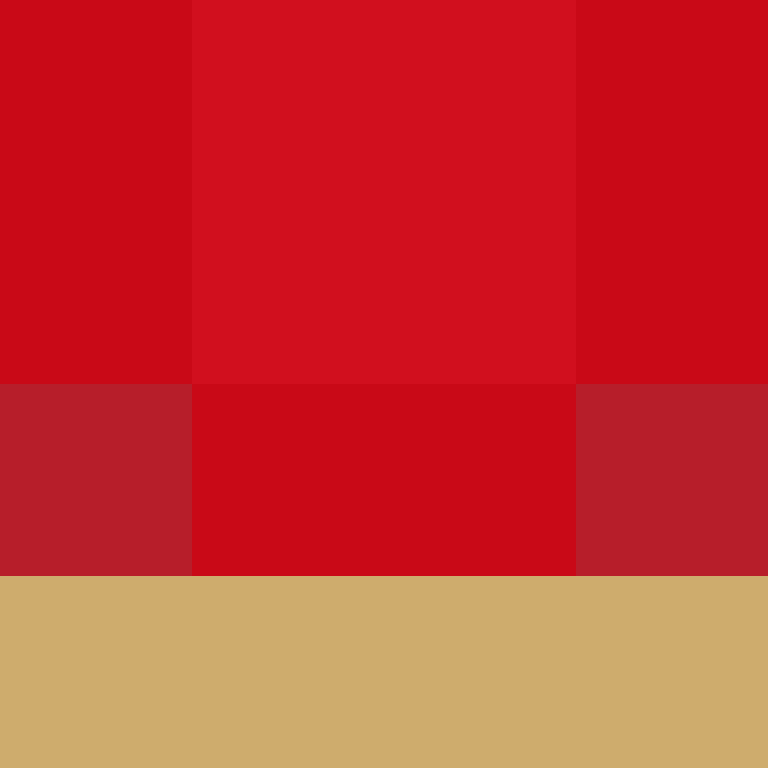 h4yl33's skin