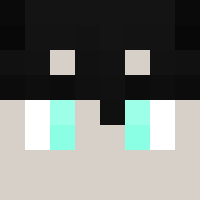 xX_No_Income_Xx's skin