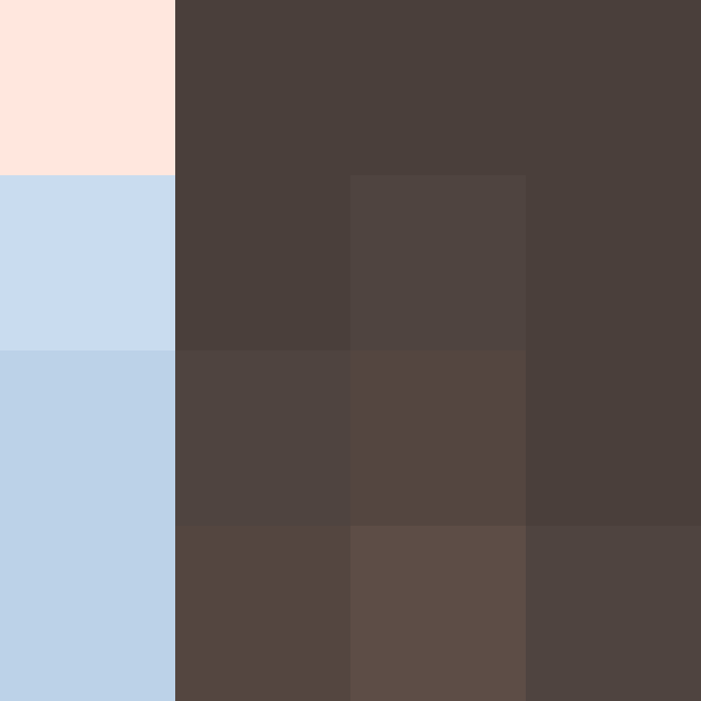 deminecrafterlol's skin
