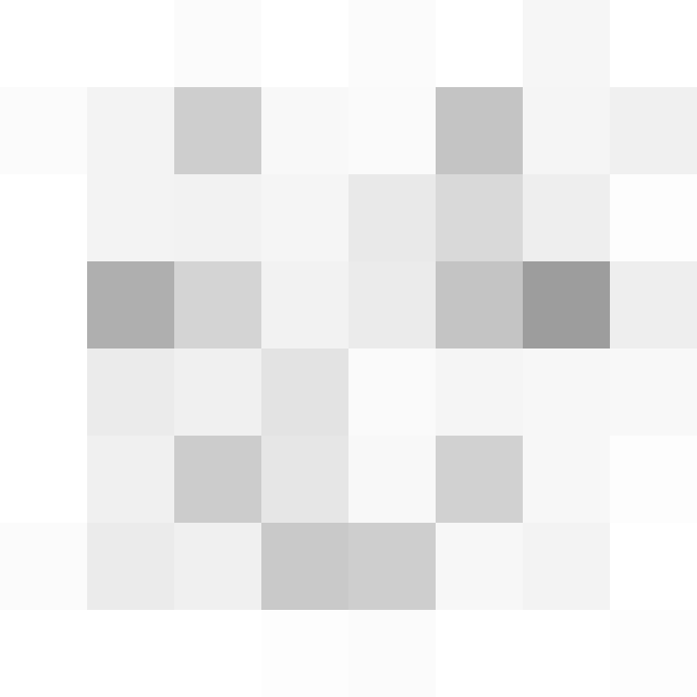 FlaggenGuy's skin