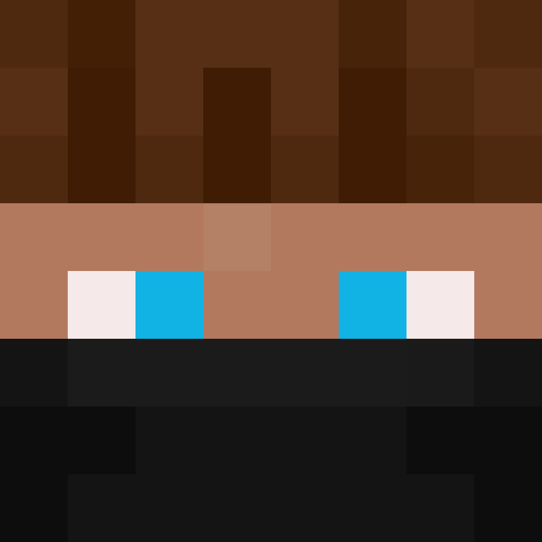 8aca680b22461340's skin