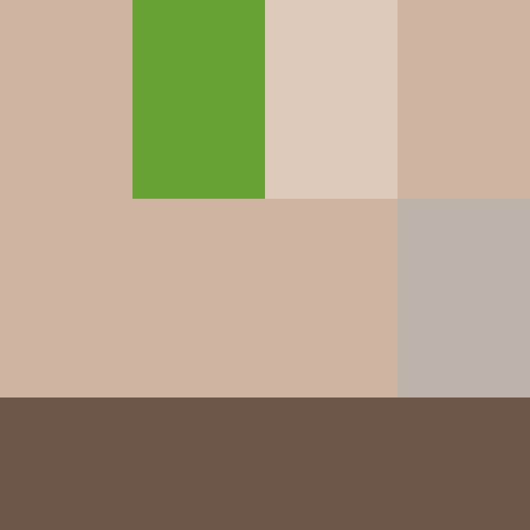 Kaboyio's skin