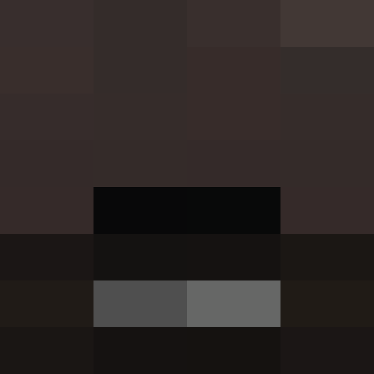 dragloner's skin