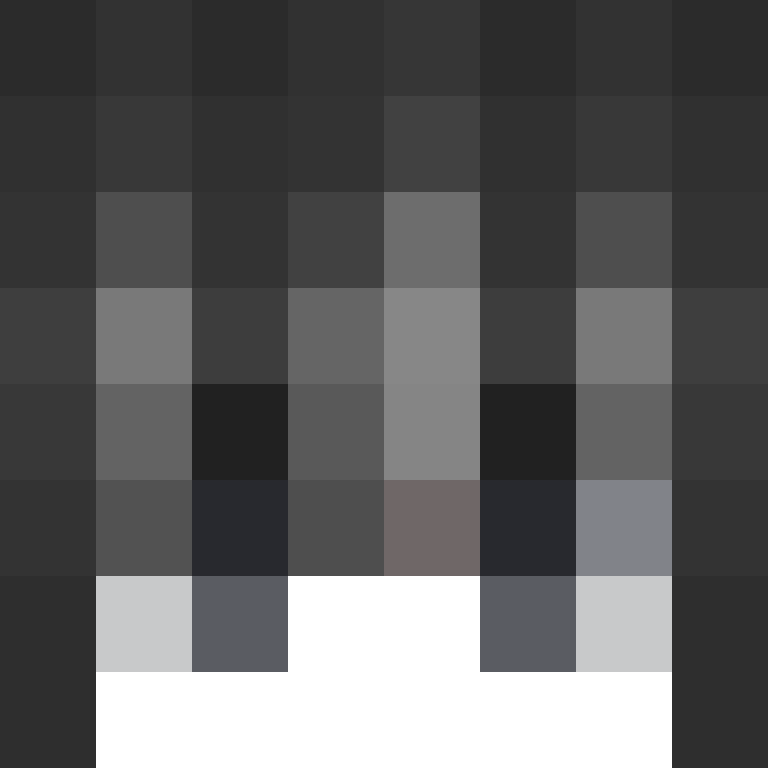 494x's skin