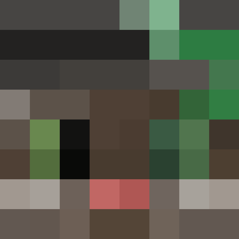 GR1ZZLY180's skin