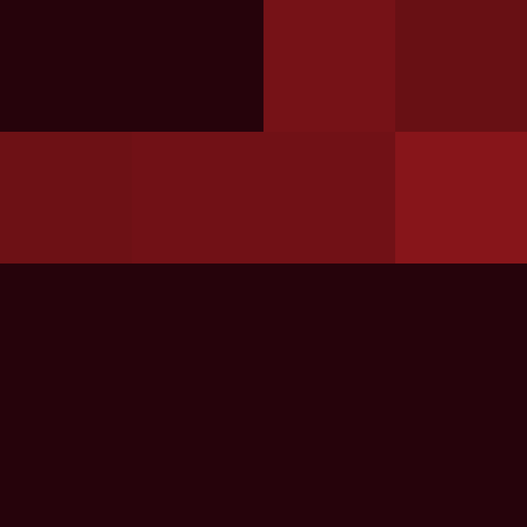wiredframe's skin