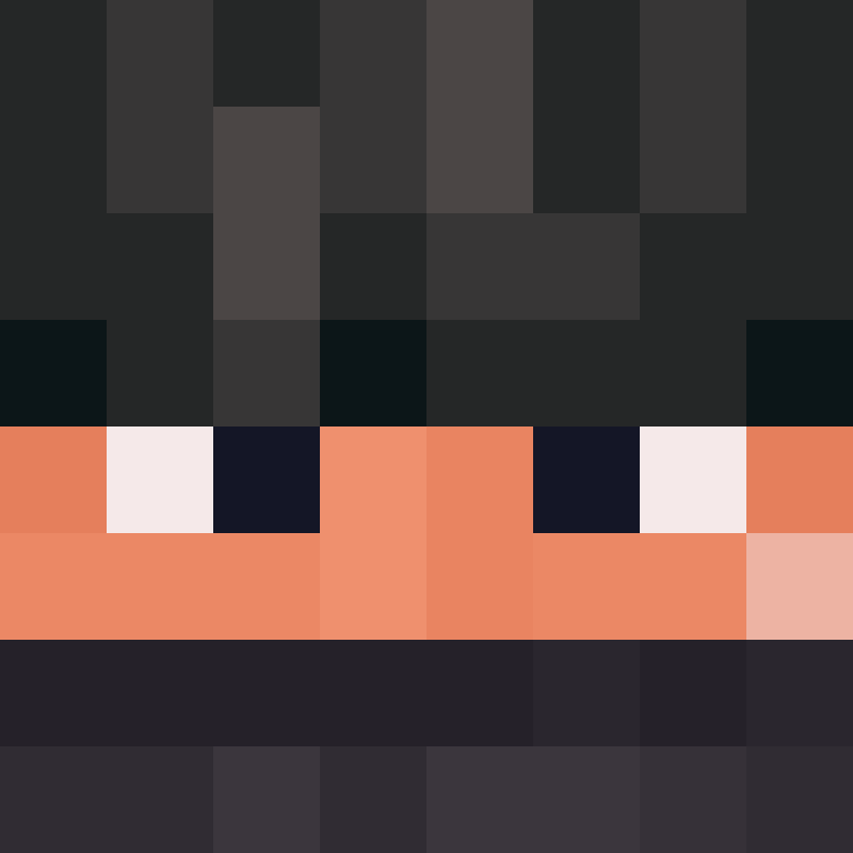 BukkitAPI's skin
