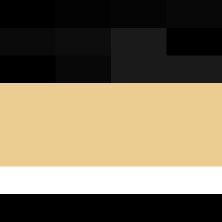 8aca680b22461340's skin