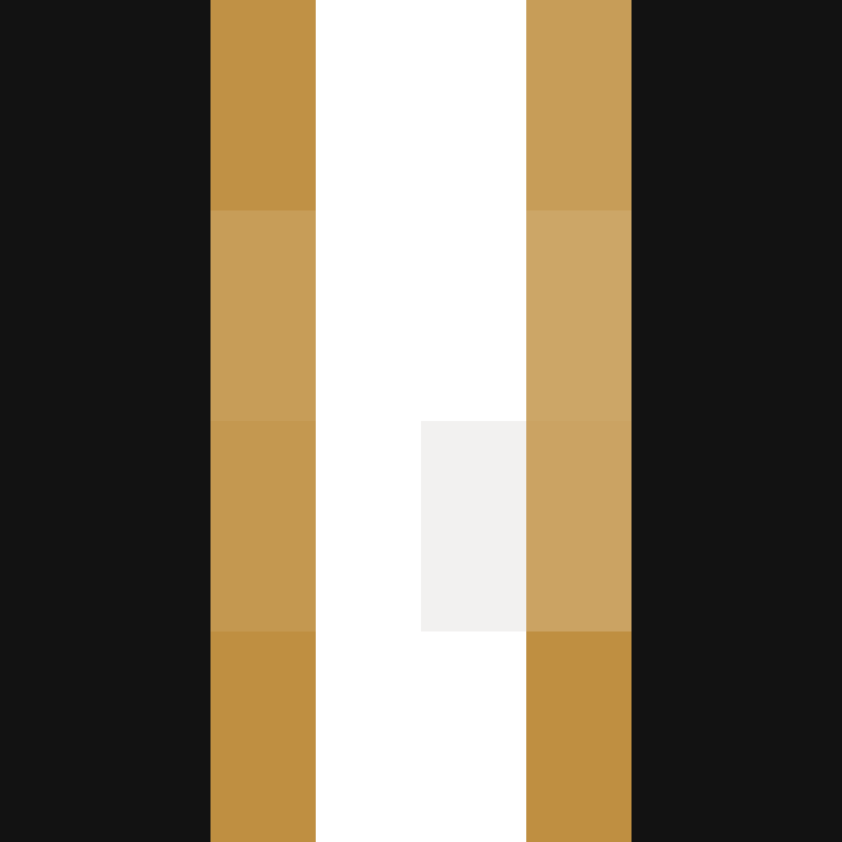 GR1ZZLY180's skin