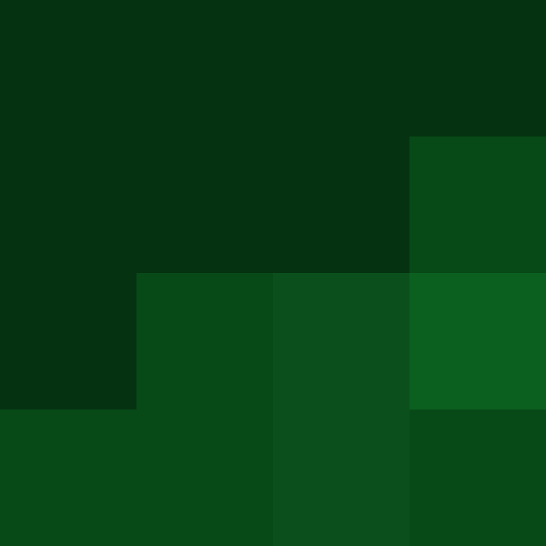 PtakopyskCZ's skin