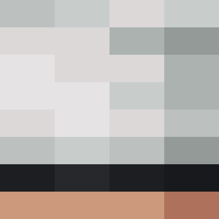 GeyserMC's skin